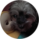 catherine doré profile picture